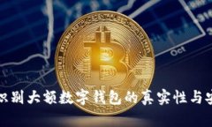 如何识别大额数字钱包的
