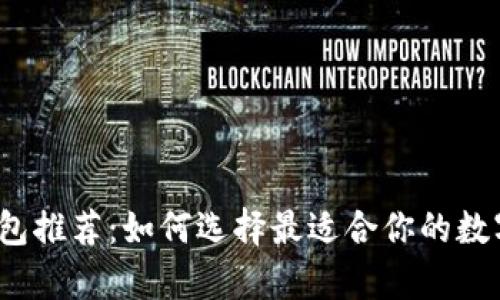 2023年安全钱包推荐：如何选择最适合你的数字资产存储方案
