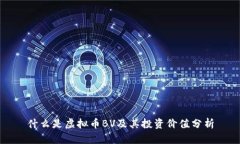 什么是虚拟币BV及其投资价值分析