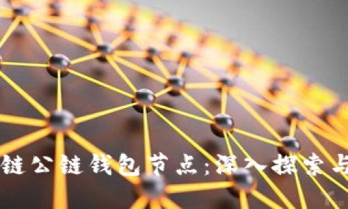 区块链公链钱包节点：深入探索与实践